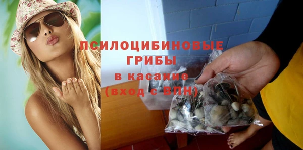 гашик Заводоуковск