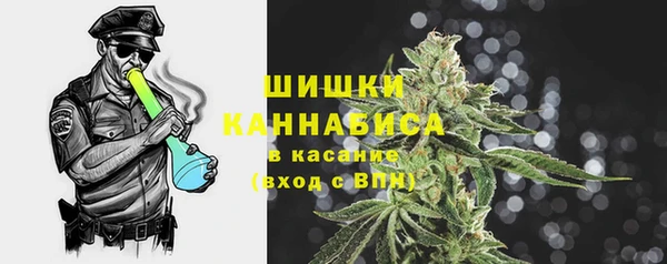 гашик Заводоуковск