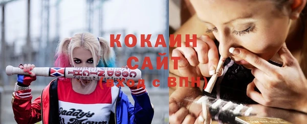 гашик Заводоуковск
