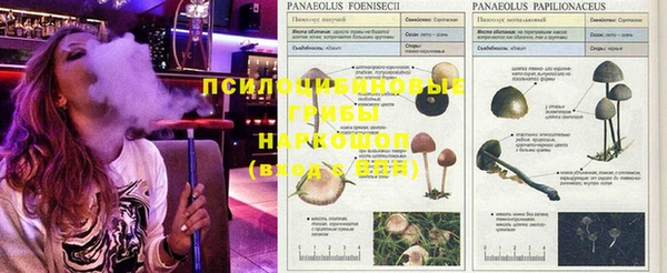 гашик Заводоуковск