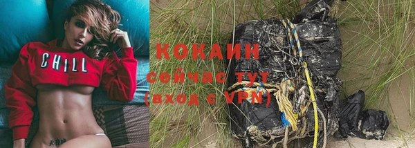 гашик Заводоуковск