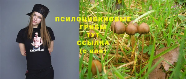 хмурый Заволжск